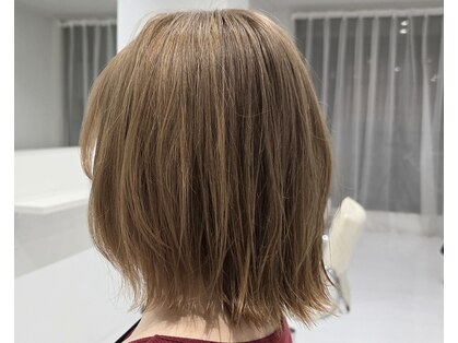 モッチ(mocci)の写真
