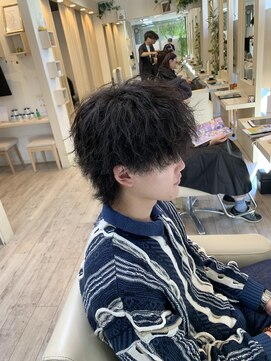 フィーカ(Fika) ウルフ×ツイスパ