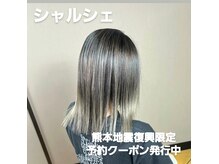 シャルシェ(Chercher)