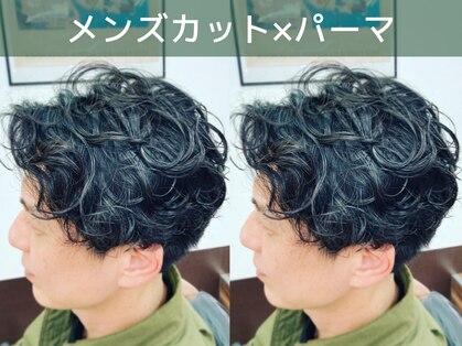 ノヤマ(NOYAMA)の写真