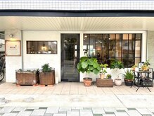 モク 京都北白川店(MOK)の雰囲気（スタッフが大切に大切に世話してる緑たちです。）