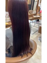 スペックホルダー(Spec Holder)&nbsp;くびれヘアチェリーレッド8.17