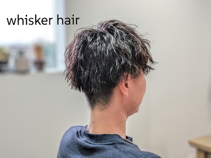 ウィスカーヘアー(whisker hair)の写真