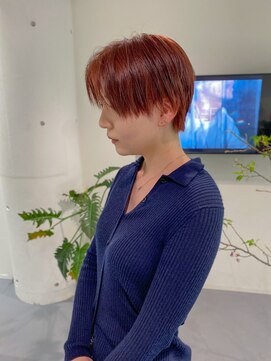 レフ(LEF) レッドブラウン/ブリーチなしダブルカラー/ハンサムショート