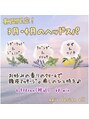 ヘアデザイン オール(hair design all)&nbsp;期間限定！3月・4月のヘッドスパ♪