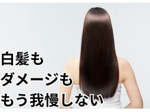 フィジー(Fizzy)の雰囲気（毎月通える価格となっております!!）