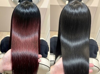 トライアンフ(TriumpH)の写真