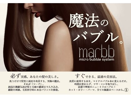 エラ(ELLA)の写真
