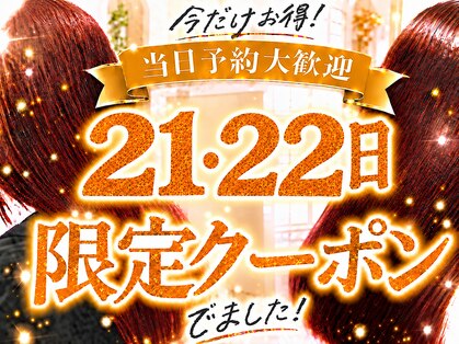 オレンジ(orange)の写真