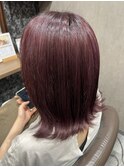 【ピンクラベンダー】
