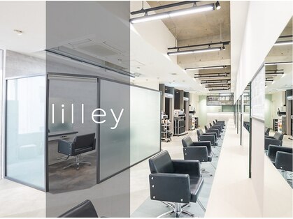 リリー(Lilley)の写真