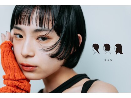 シロ(siro)の写真