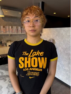 エーラ(Ala) ポイントメッシュ