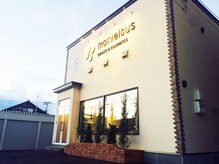 マーヴェラス ビューティアンドコスメティック(marvelous beauty&cosmetics)