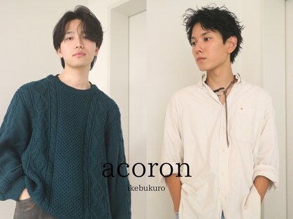 アコロン(acoron.)の写真