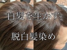 ブリーチを使わずにワンメイクのカラーで白髪をぼかす◎ワンメイク白髪ぼかしもトレンド◎［白髪ぼかし］