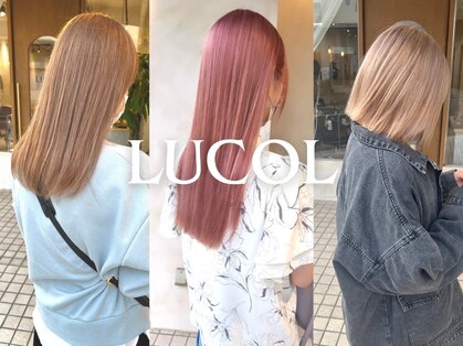 ルコル(LUCOL)の写真