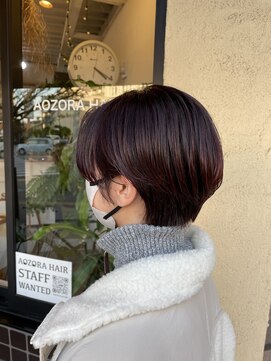 アオゾラヘアー フジサキグウ(AOZORA HAIR FUJISAKIGU) レッドブラウン×ハンサムショート