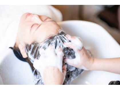 シャイン(Shine)の写真