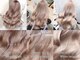 リラ バイ ミラ 新宿(LILA by MILA)の写真