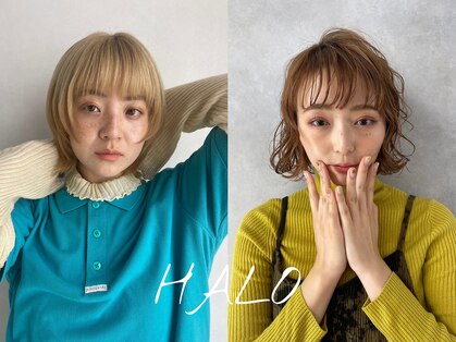 ハロ 蕨(HALO)の写真