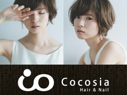 ココシア(Cocosia)の写真