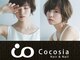 ココシア(Cocosia)の写真