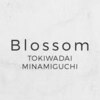 ブロッサム ときわ台南口店(Blossom)のお店ロゴ