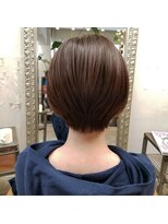 ゼットサロン(Z SALON) カラースタイル集３００　ー０２５ー　やわらかブラウン