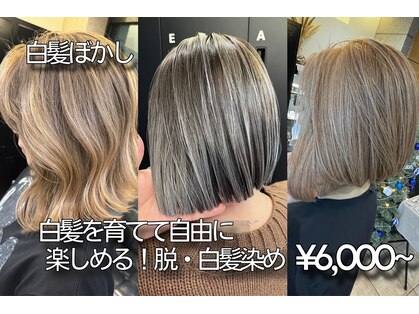 オリノ(olino)の写真