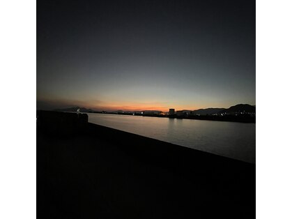 キーノ(kino)の写真