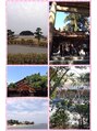 美容室 カナリア(Canaria) 神社・お寺・自然の多い所に行くとパワーチャージになります!