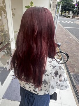 モナルダ(Monarda) チェリーレッド