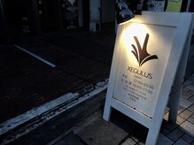 ゼグルス(XEGULUS)の雰囲気（こちらが当店の看板です！）