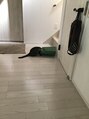 カットの館 上手く隠れてるつもりかな?