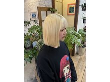 ディディ イック(didi ic)
