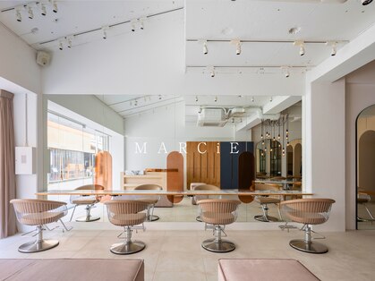 マーシィ(MARCIE)の写真