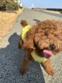 シュヴー 西葛西(CHEVEUX)&nbsp;愛犬のくぅちゃん！おすすめの犬連れスポット教えてください！！