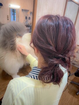 ティッシュ(tissue) 猫のいる美容院tissue