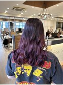 gradation color   cassis lavender