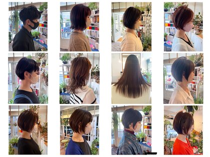 リプリート(Replete)の写真