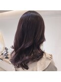ピンクラベンダー*桂