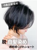 30代40代50代脱白髪染めグレイヘア白髪ぼかしハイライト