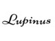 ルピナス(Lupinus)の写真/【Lupinus】の一人ひとりに合わせたカット技術で、サロン帰りの「綺麗」がご自宅に帰ってもずっと続くー