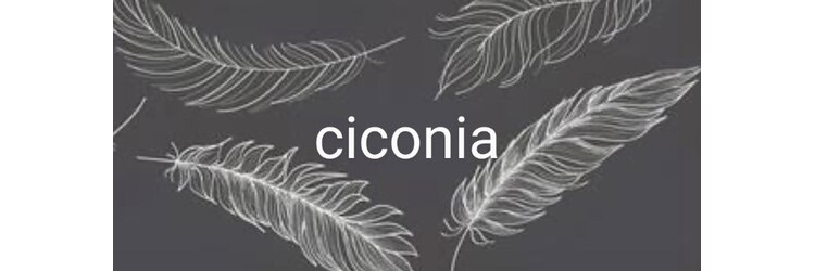 キコーニア(ciconia)のサロンヘッダー