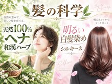 エーティーヘアコレクション 自由が丘(AT.hair collection)の雰囲気（白髪染めは熟練の【ヘアケアリスト】にお任せ下さい。快適生活！）