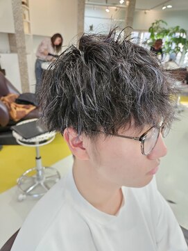 エストレーラ ツイストスパイラル、メッシュ