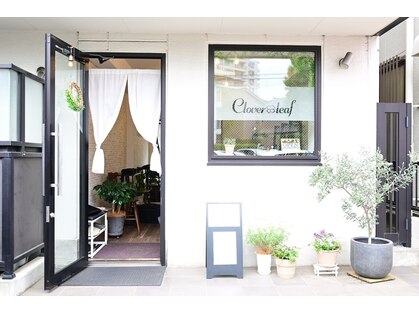 クローバーリーフ(Clover Leaf)の写真