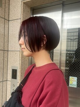 ゴーズゴー 吉祥寺(e)店(go s go) ミニボブ/ワインレッド/ボルドー/カシスブラウン