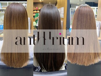 anthurium 【アンスリウム】